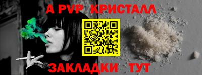 PSILOCYBIN Можга
